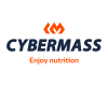 Cybermass